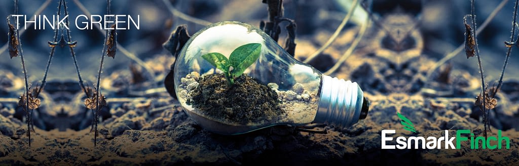 Innovative ideas in sustainable packaging